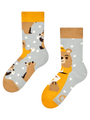 None-f2/f2dfe2f98ce958e0448812721e6a0f1670693ca0